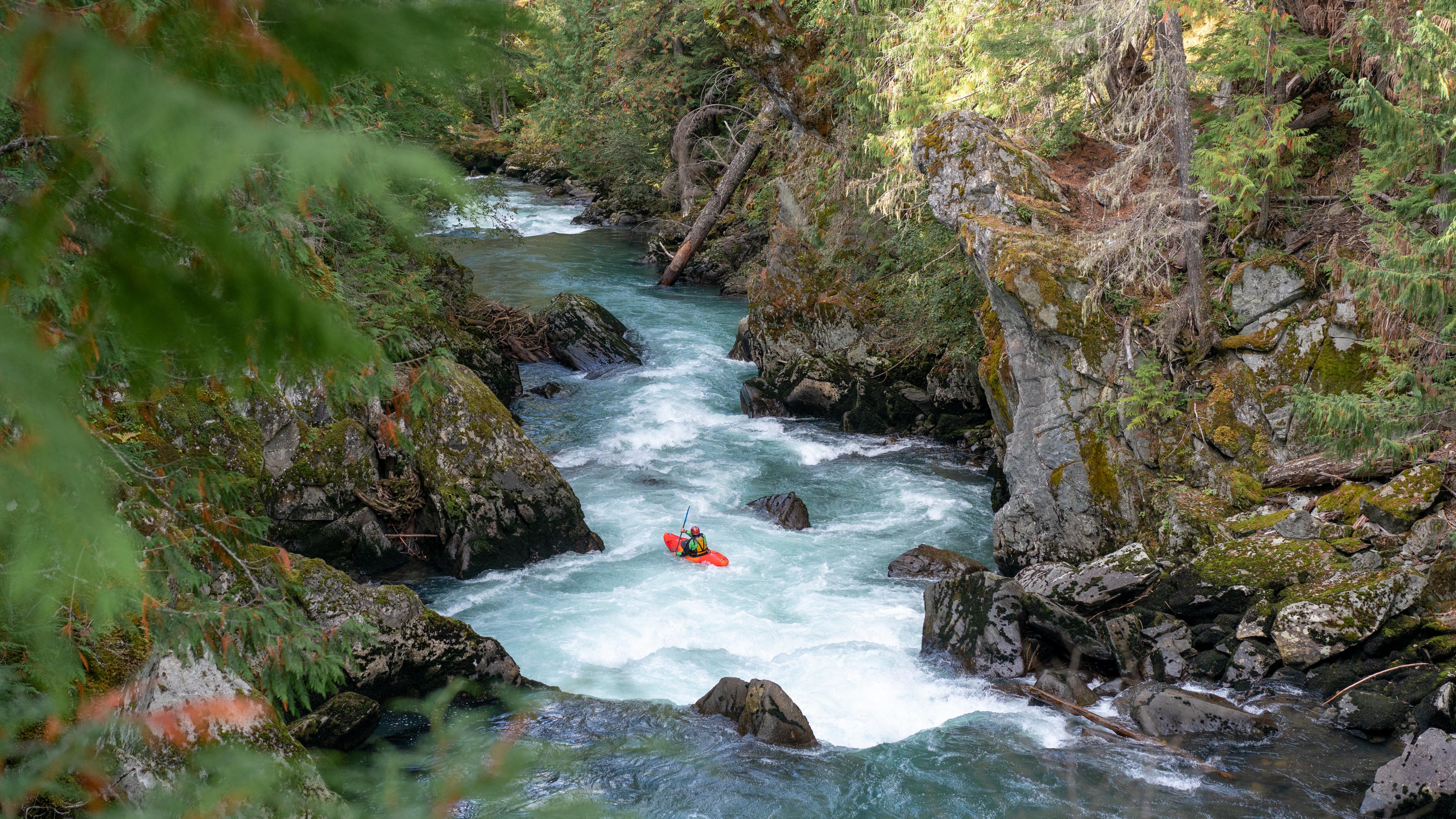 Kayaker